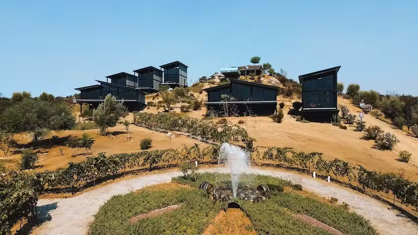 Hotel Boutique & Vi&ntilde;edo, Valle de Guadalupe, Origen75