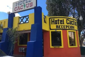 Hotel Cactus