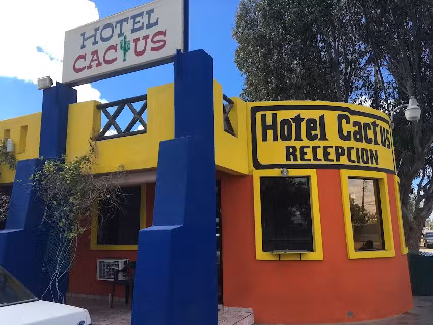 Hotel Cactus