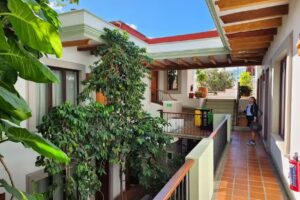 Hotel Casa V&eacute;rtiz