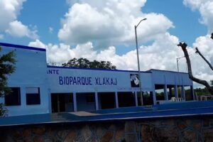 Hotel cenote xla&rsquo;kaj