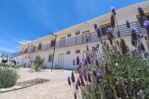 Hotel Del Desierto Ecofriendly