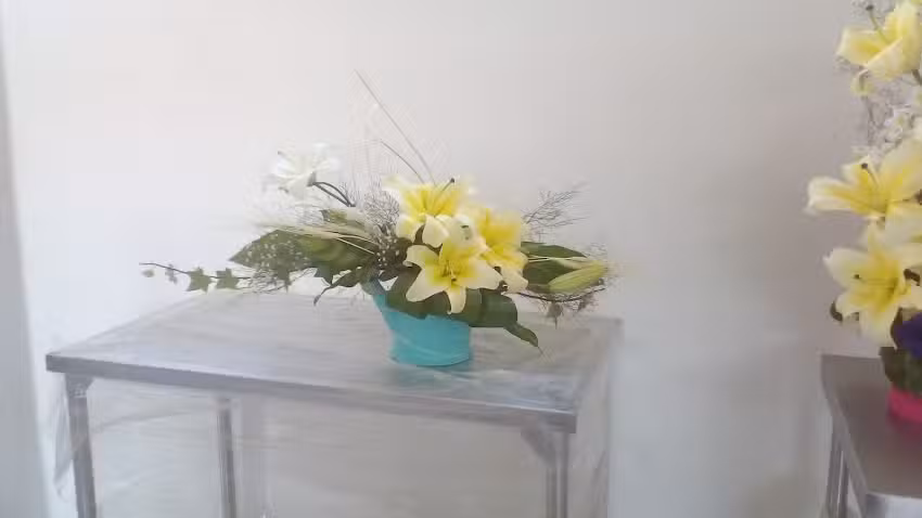 Hotel El F&eacute;nix Jical&aacute;n.