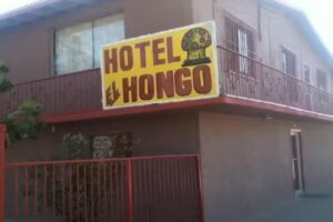 Hotel el hongo