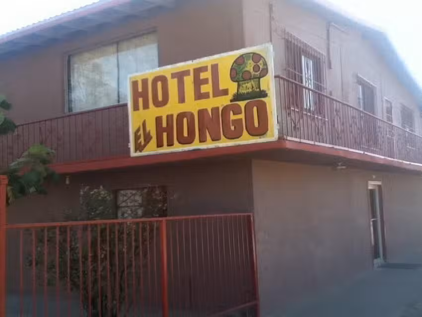 Hotel el hongo