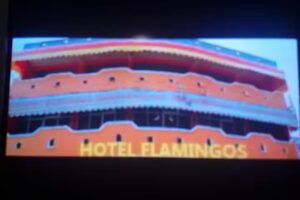 Hotel Flamingos
