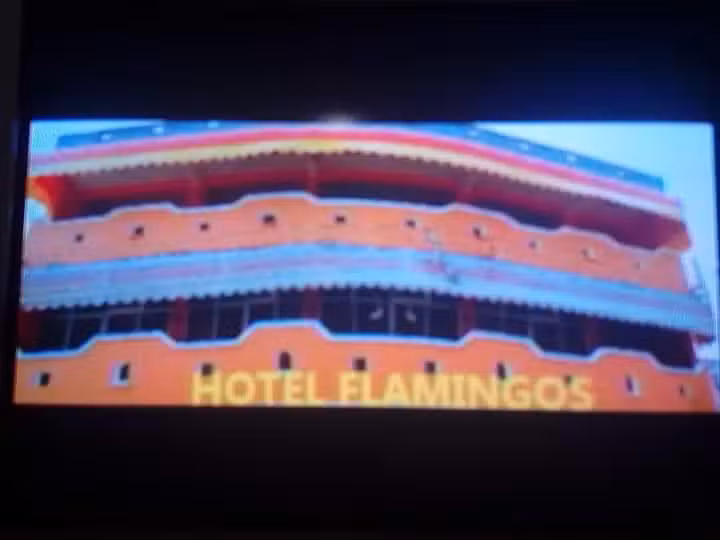 Hotel Flamingos