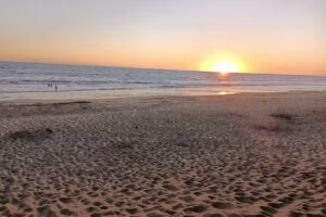 Hotel Francis Laguna