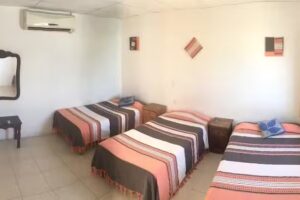 Hotel La Roca (Pet Friendly)