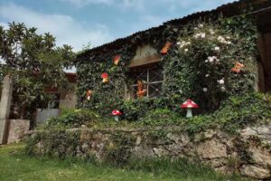 Hotel Las Palmas By GEstores