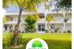 Hotel Maguey Blanco