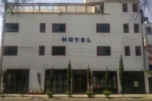 Hotel Magueyes