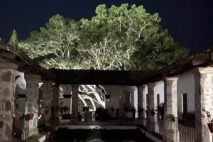 Hotel Mes&oacute;n del Refugio