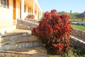 Hotel Natural del Tordo