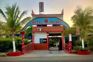 Hotel Palmas