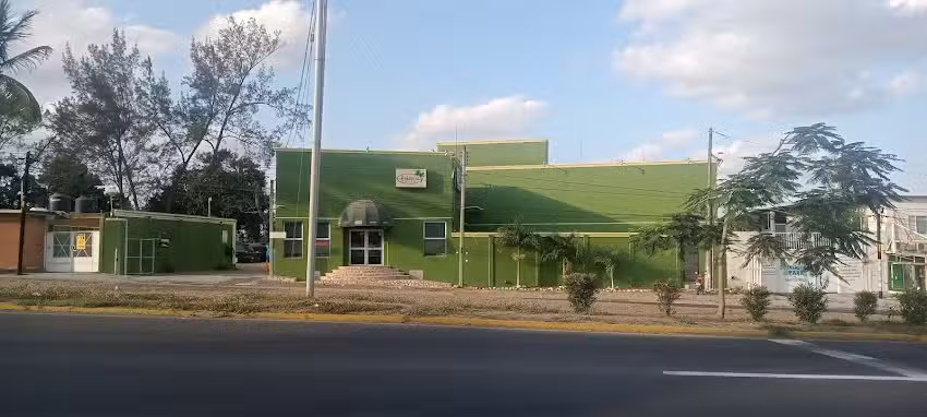 Hotel Palmera Suites