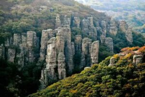 Hotel panales sierra de lobos