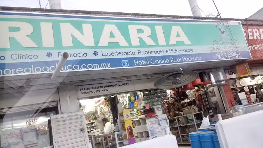 HOTEL PARA MASCOTAS &ldquo;CANINO REAL&rdquo;