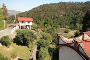 Hotel Parador del Bosque