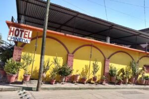 Hotel Pineda