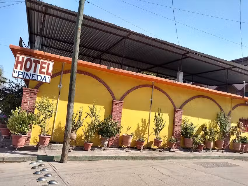 Hotel Pineda