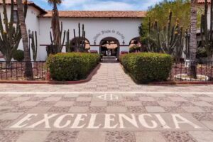 Hotel Playa de Cort&eacute;s