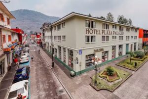 Hotel Plaza Palacio