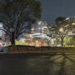 Hotel polanco
