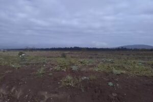 HOTEL POSADA ALCATRAZ