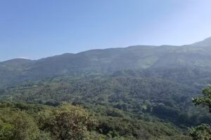 HOTEL POSADA CASA REAL