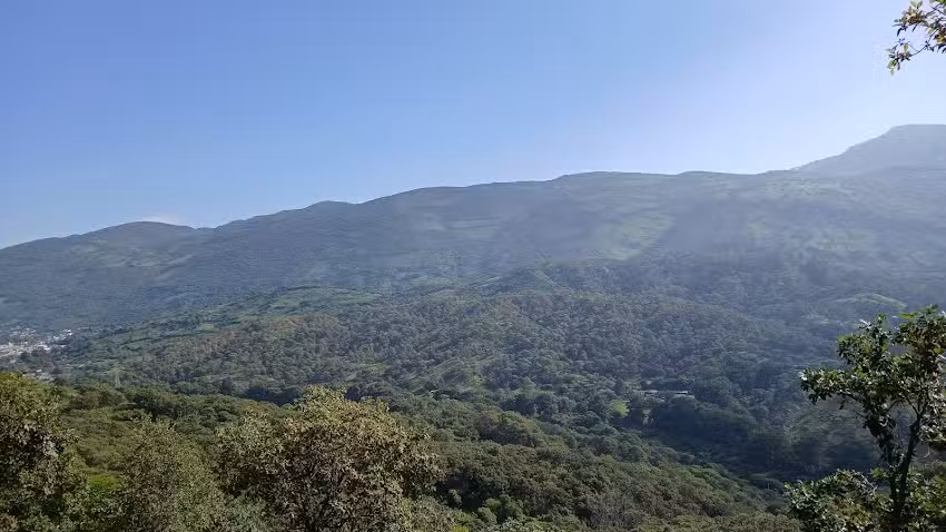 HOTEL POSADA CASA REAL