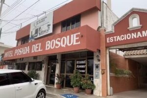 Hotel Posada del Bosque