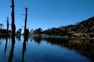 Hotel Posada &ldquo;La Casa De Los Abuelos&rdquo;