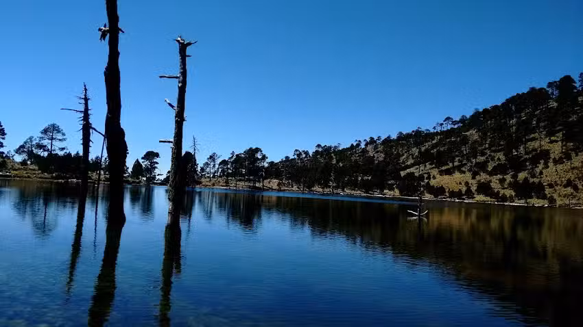 Hotel Posada &ldquo;La Casa De Los Abuelos&rdquo;