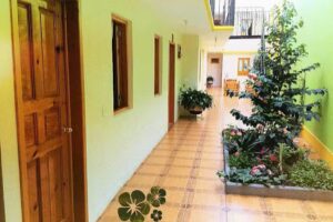 Hotel Posada Las Rosas