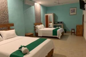 Hotel Posada Real De Progreso