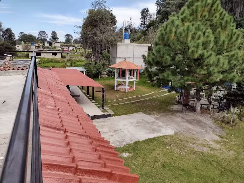 Hotel Restaurant The Palms