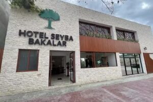 Hotel Seyba Bakalar