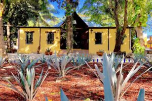 Hotel Tequila Cancun