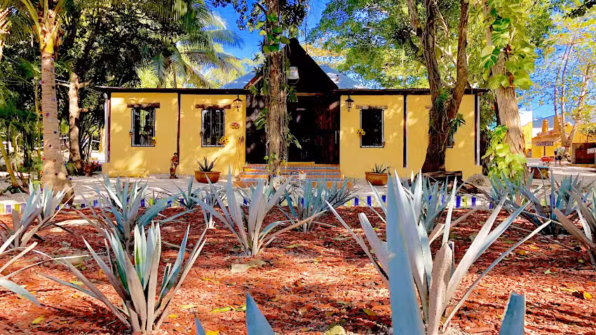 Hotel Tequila Cancun