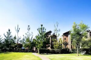 Hotel Terraza & Caba&ntilde;as Azul Tequilana