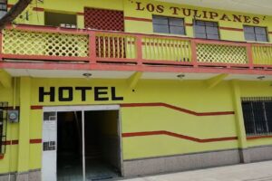 Hotel tulipanes