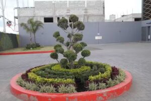 Hotel & Villas Taj&iacute;n