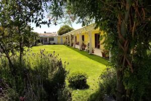 Hotel Y Beer Garden &ldquo;Quinta San Antonio&rdquo;