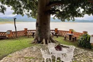 Hotelito Rincón de la Ceiba