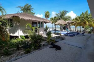 Ikarus Kite and Wing Lodge &ndash; Cancun Isla Blanca