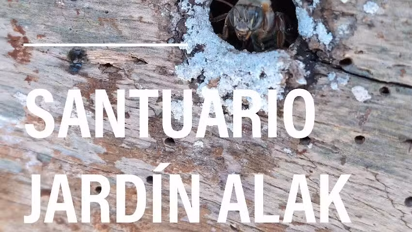 JARD&Iacute;N ALAK