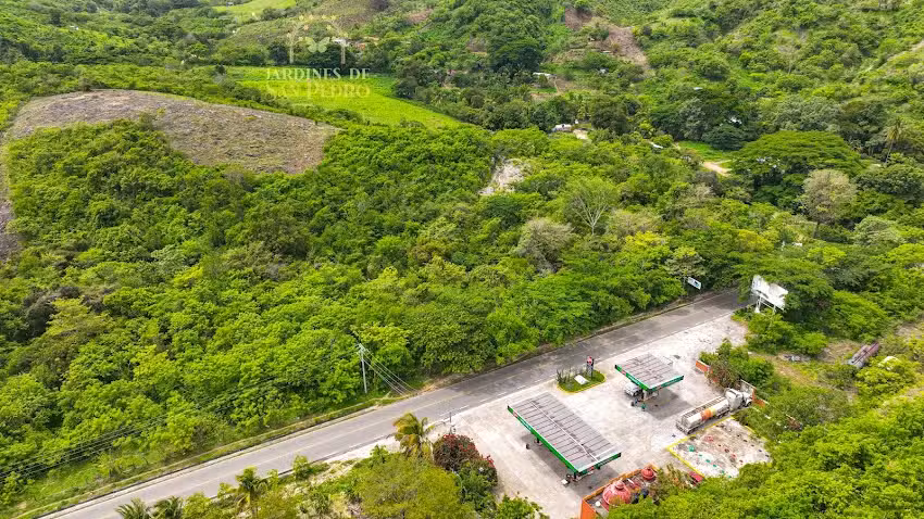 Jardines de San Pedro