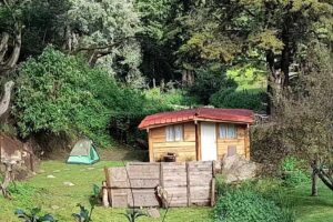 Jardines M&eacute;xico