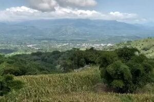 Jicamaltepec El Mango